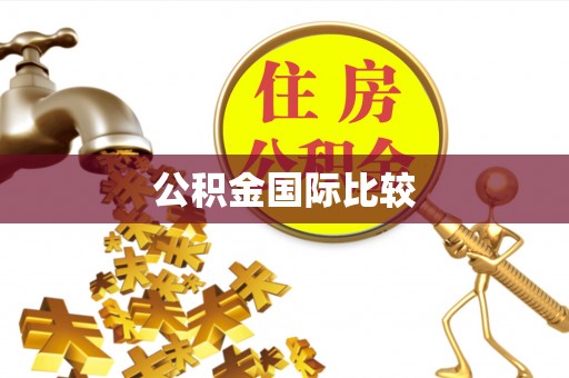 自流井公积金国际比较
