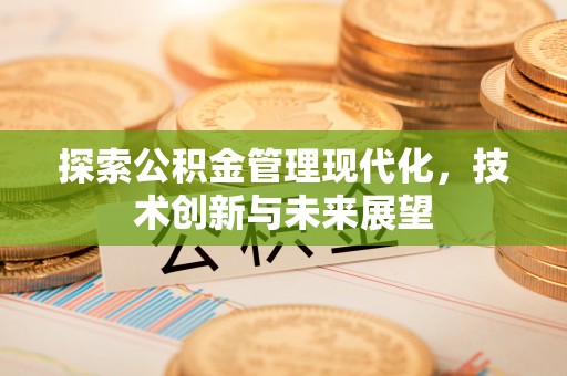 自流井探索公积金管理现代化，技术创新与未来展望