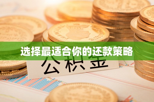 自流井选择最适合你的还款策略