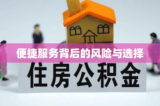 自流井便捷服务背后的风险与选择
