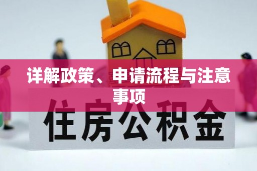 自流井详解政策、申请流程与注意事项